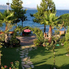 Istanbul: Day Trip to Scenic Sapanca, Masukiye and Kartepe in Istanbul: Gallery Photo 3r5vby