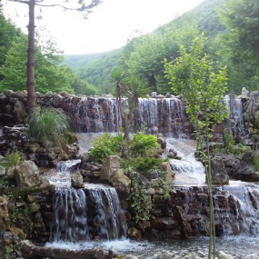 Photo from Istanbul: Day Trip to Scenic Sapanca, Masukiye and Kartepe in Istanbul: Gallery Photo zm49m6