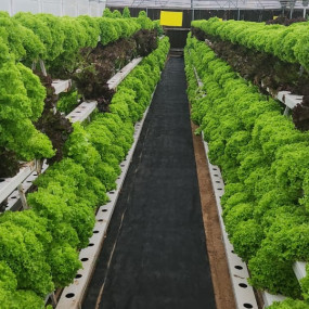 Photo from تذاكر دخول مزرعة يتي in مسقط: Gallery Photo 3e5kx9