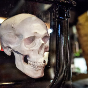The Ghost Bus Tours - York in York: Gallery Photo zoo916