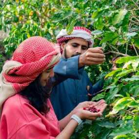 Hike with a local coffee farmer в Аль-Баха: Галерея фото 38ved6