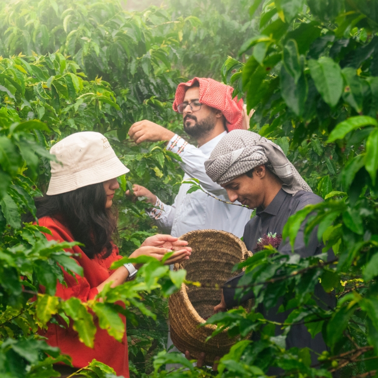 Фотография с From Arabica to Arabian – Coffee Experience at a local farm в Аль-Баха: Галерея фото 3pe5px