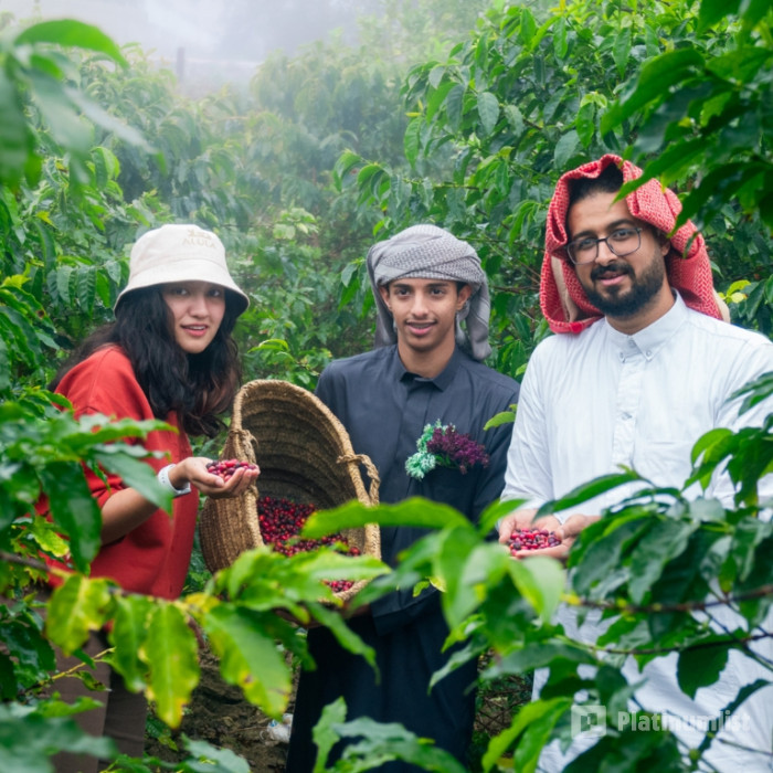 From Arabica to Arabian – Coffee Experience at a local farm in Al Bahah: Gallery Photo zgk8qy From Arabica to Arabian – Coffee Experience at a local farm in Al Bahah: Gallery Photo zgk8qy