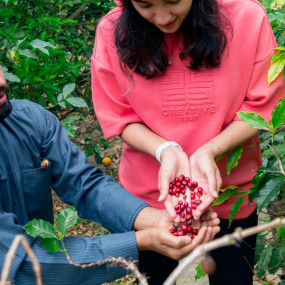 From Arabica to Arabian – Coffee Experience at a local farm in Al Bahah: Gallery Photo zook8y From Arabica to Arabian – Coffee Experience at a local farm in Al Bahah: Gallery Photo zook8y