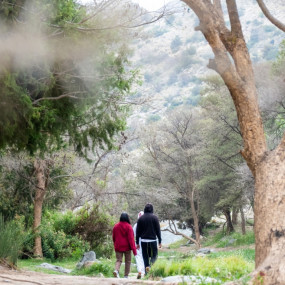 In Hike to the Ain Jamal Waterfall in Al Bahah: Gallery Photo 3x8ox7 In Hike to the Ain Jamal Waterfall in Al Bahah: Gallery Photo 3x8ox7