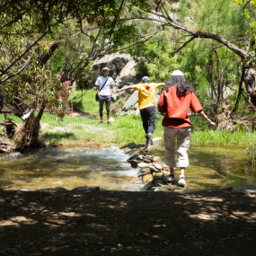 In Hike to the Ain Jamal Waterfall в Аль-Баха: Галерея фото 3y5j81