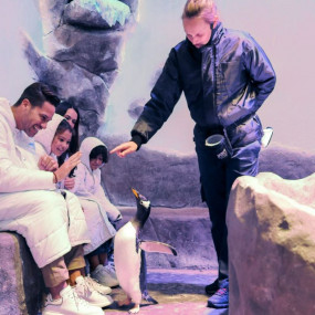 Photo from Dubai Aquarium & Underwater Zoo - Ultimate Experience in Dubai: Gallery Photo 38vw9r