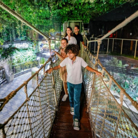 Photo from Dubai Aquarium & Underwater Zoo - Ultimate Experience in Dubai: Gallery Photo zook5e