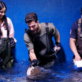 Photo from Dubai Aquarium & Underwater Zoo - Ultimate Experience in Dubai: Gallery Photo 38vwe1