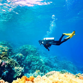 Photo from Scuba Diving Tour in Antalya: Gallery Photo zw5b5p