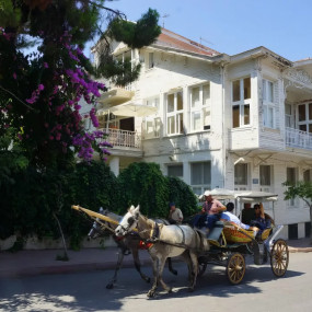 Photo from جولة إلى جزيرة الأميرات من إسطنبول in إسطنبول: Gallery Photo z91o9p