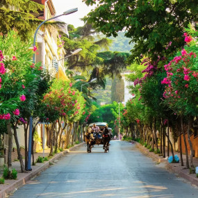 Photo from جولة إلى جزيرة الأميرات من إسطنبول in إسطنبول: Gallery Photo zv5b07