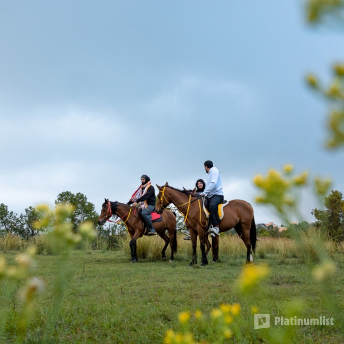 3x8bjk استديو الصور :تنومة في تجربة ركوب الخيل للمحترفين 3x8bjk استديو الصور :تنومة في تجربة ركوب الخيل للمحترفين