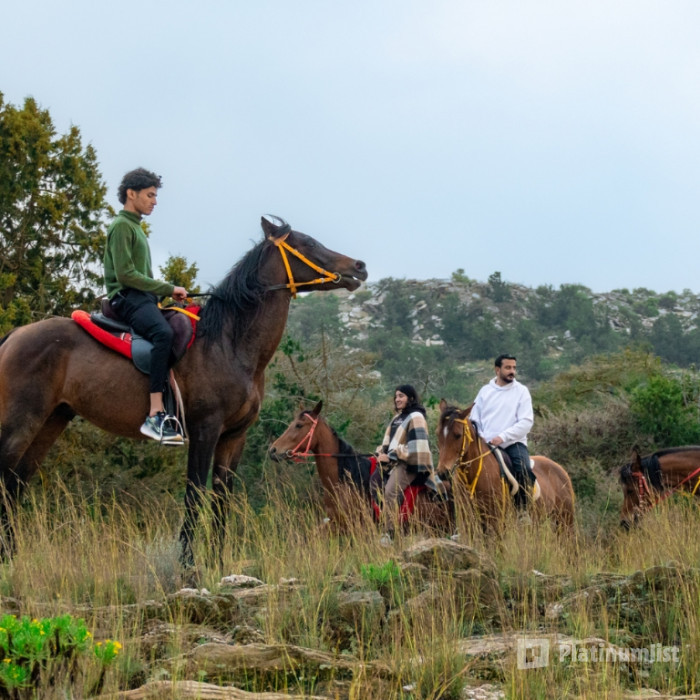 Advanced Horse Riding Experience in Tanomah: Gallery Photo 3y5bx4