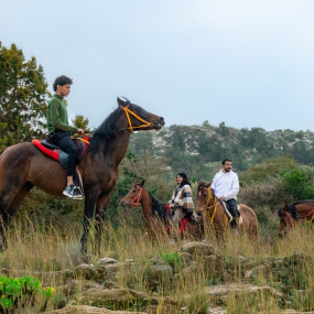 Advanced Horse Riding Experience in Tanomah: Gallery Photo 3y5bx4 Advanced Horse Riding Experience in Tanomah: Gallery Photo 3y5bx4