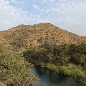 Photo from بفاندا ضبوعي in أبها: Gallery Photo 3qbm51