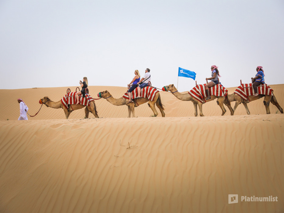 Dubai: Quad Bike Safari, Camel Ride and Refreshments в Дубай: Галерея фото zgko58