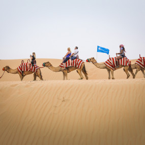 Dubai: Quad Bike Safari, Camel Ride and Refreshments in Dubai: Gallery Photo zgko58