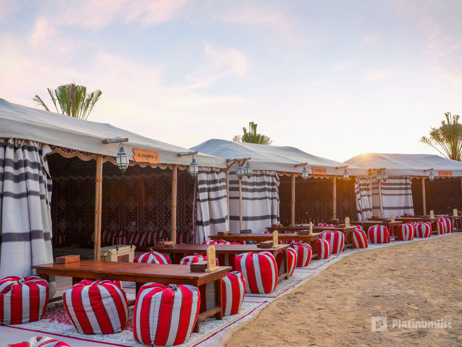 Dubai: Quad Bike Safari, Camel Ride and Refreshments in Dubai: Gallery Photo zoo2r0