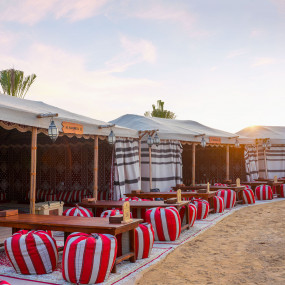 Dubai: Quad Bike Safari, Camel Ride and Refreshments in Dubai: Gallery Photo zoo2r0