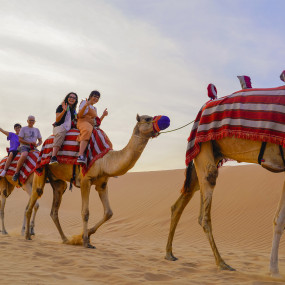 Photo from دبي: رحلات السفاري بالدراجات الرباعية وركوب الجمال والمرطبات in دبي: Gallery Photo 3qbdpr