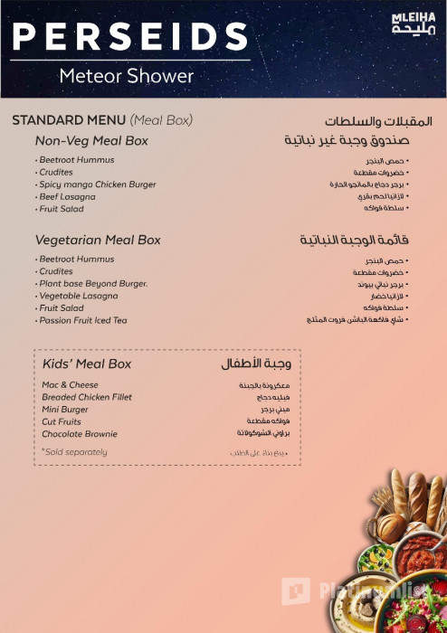 n287jq استديو الصور :الشارقة في مليحة - مشاهدة شهب البرشاويات 2024