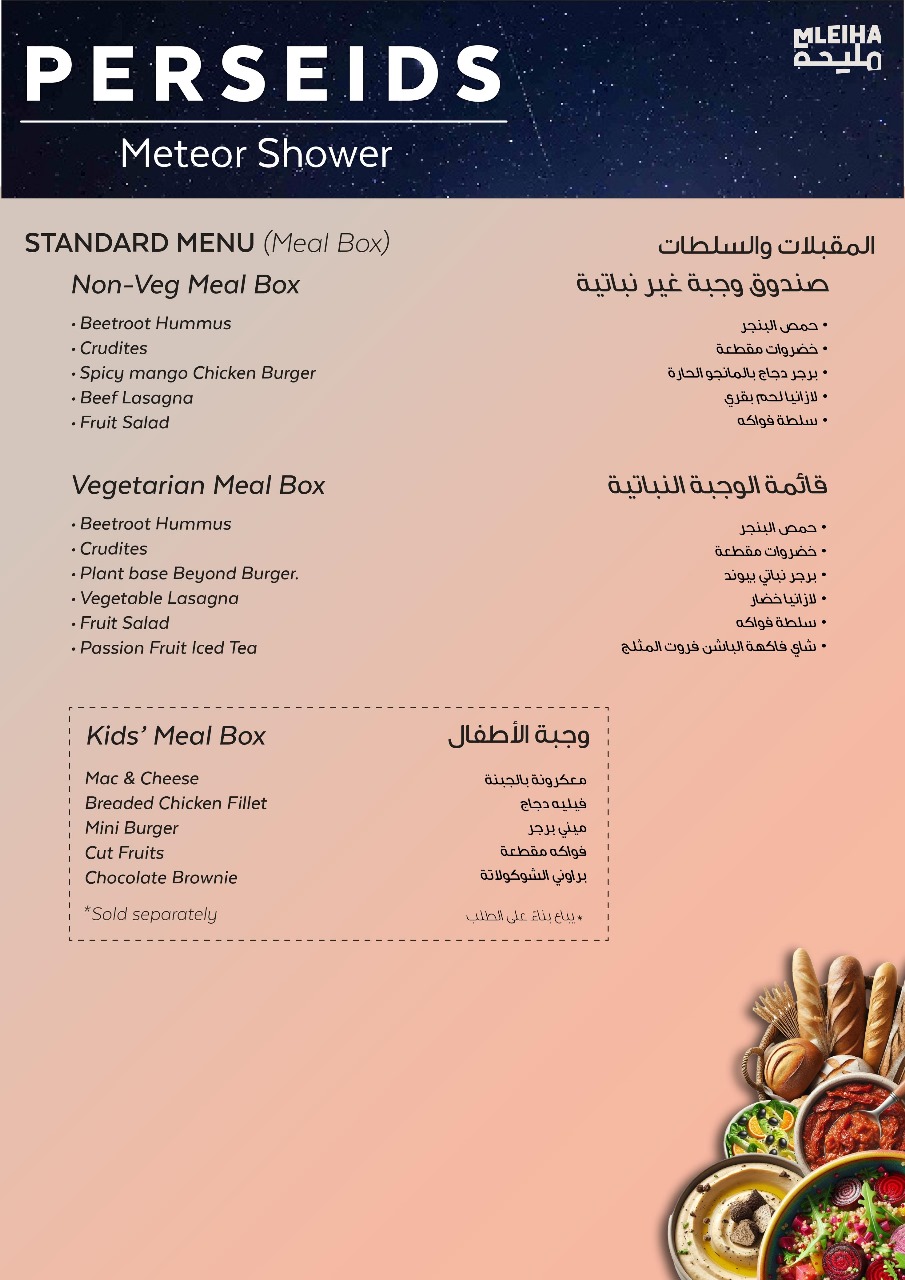 Photo from Mleiha - Perseids Meteor Shower 2024 in Sharjah: Gallery Photo n287jq