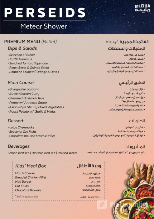 Mleiha - Perseids Meteor Shower 2024 в Шаржа: Галерея фото n14dox
