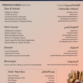 n14dox استديو الصور :الشارقة في مليحة - مشاهدة شهب البرشاويات 2024