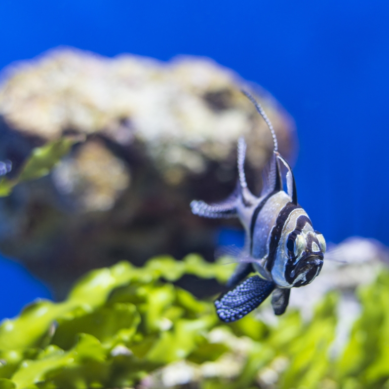 Photo from SEA LIFE Manchester Entry Ticket in مانشستر: Gallery Photo zm458y