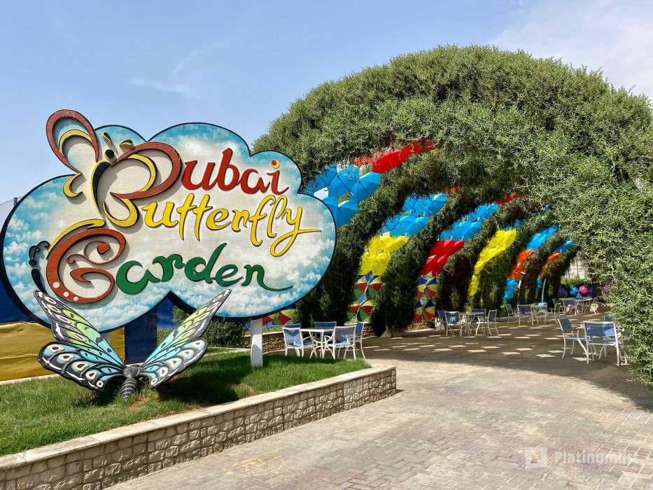 Butterfly Garden in Dubai: Gallery Photo n6bgo9