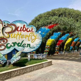 Butterfly Garden in Dubai: Gallery Photo n6bgo9