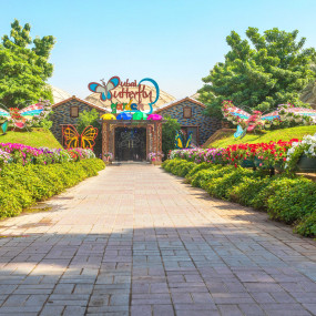 Butterfly Garden in Dubai: Gallery Photo n2871q