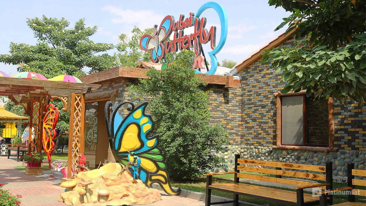 Butterfly Garden in Dubai: Gallery Photo 3dk8bq