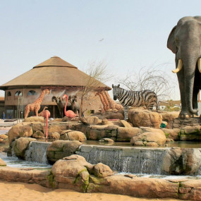 Dubai Safari Park in Dubai: Gallery Photo 3qbd2e Dubai Safari Park in Dubai: Gallery Photo 3qbd2e
