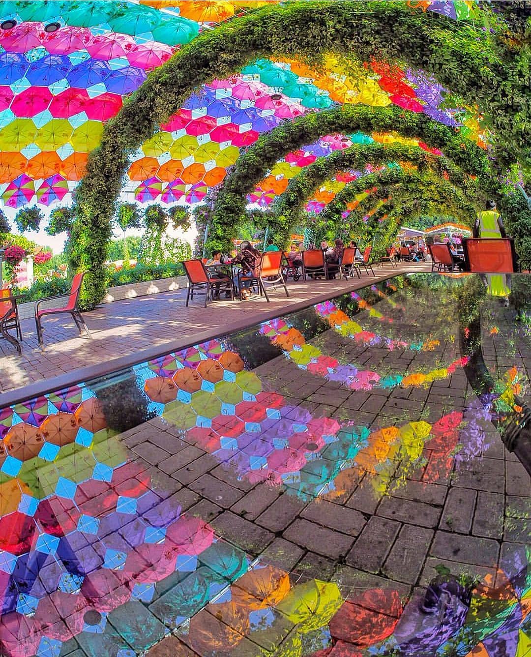Photo from Dubai Miracle Garden in Dubai: Gallery Photo n0811p