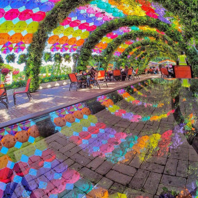 Dubai Miracle Garden in Dubai: Gallery Photo n0811p