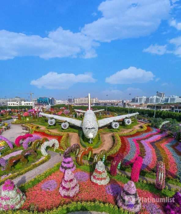 Dubai Miracle Garden in Dubai: Gallery Photo zv5ggq