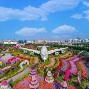 Dubai Miracle Garden in Dubai: Gallery Photo zv5ggq