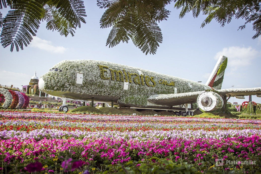 Dubai Miracle Garden in Dubai: Gallery Photo 38vj81