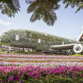 Dubai Miracle Garden in Dubai: Gallery Photo 38vj81