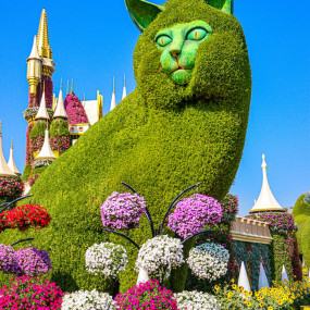 Dubai Miracle Garden in Dubai: Gallery Photo 3pe1xe