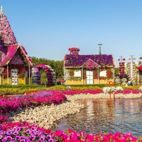 Dubai Miracle Garden in Dubai: Gallery Photo zgkod4