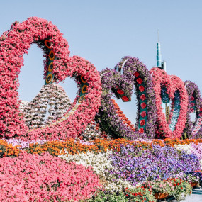 Photo from Dubai Miracle Garden in Dubai: Gallery Photo zoo2j4