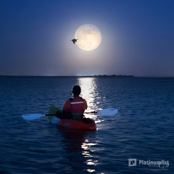 Full moon kayak tour at louvre Abu Dhabi in Abu Dhabi: Gallery Photo n14d6d Full moon kayak tour at louvre Abu Dhabi in Abu Dhabi: Gallery Photo n14d6d
