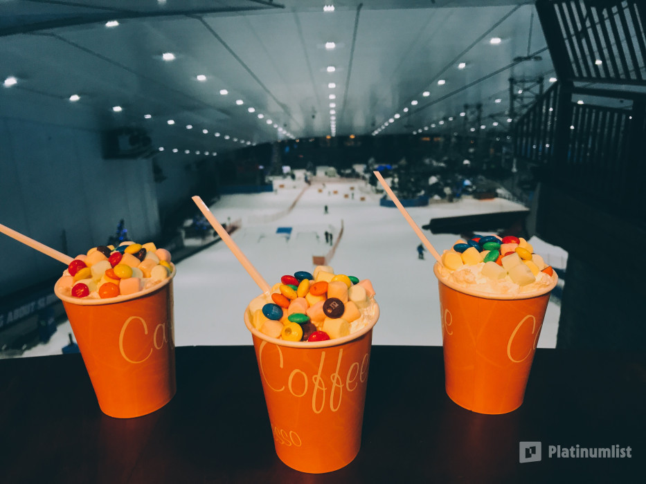 Ski Dubai in Dubai: Gallery Photo 3e5p69