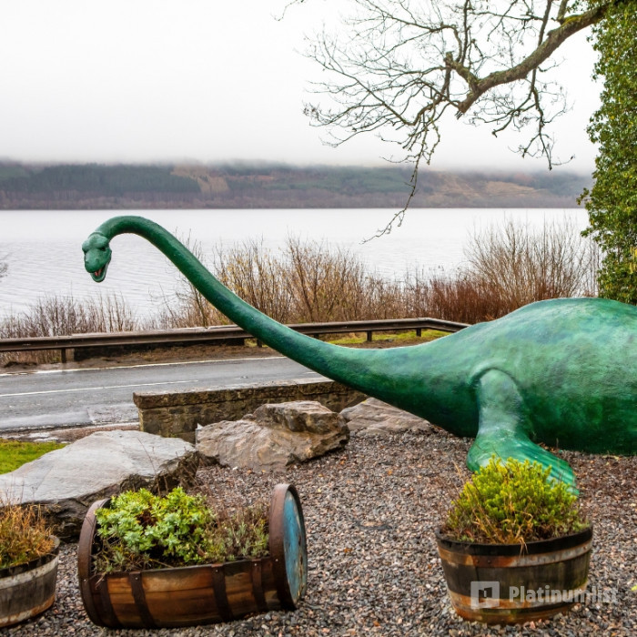 Loch Ness, Glen Coe & The Highlands in Edinburgh: Gallery Photo 3dk84e Loch Ness, Glen Coe & The Highlands in Edinburgh: Gallery Photo 3dk84e