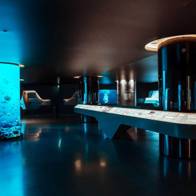 Photo from The View at The Palm - General Admission - Prime Hours in Dubai: Gallery Photo 38v849