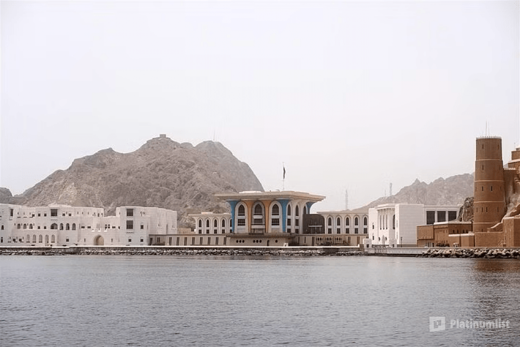 Dolphins Watching in Muscat: Gallery Photo zooj6y Dolphins Watching in Muscat: Gallery Photo zooj6y