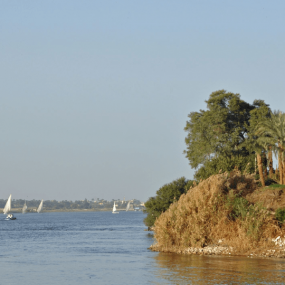 Photo de Luxor day tour with Nile cruise and lunch from Hurghada dans Hurghada : Galerie Photo nk587w